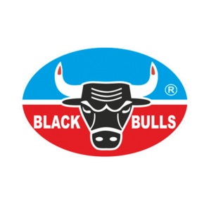 logo 13