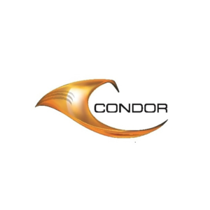 logo 20